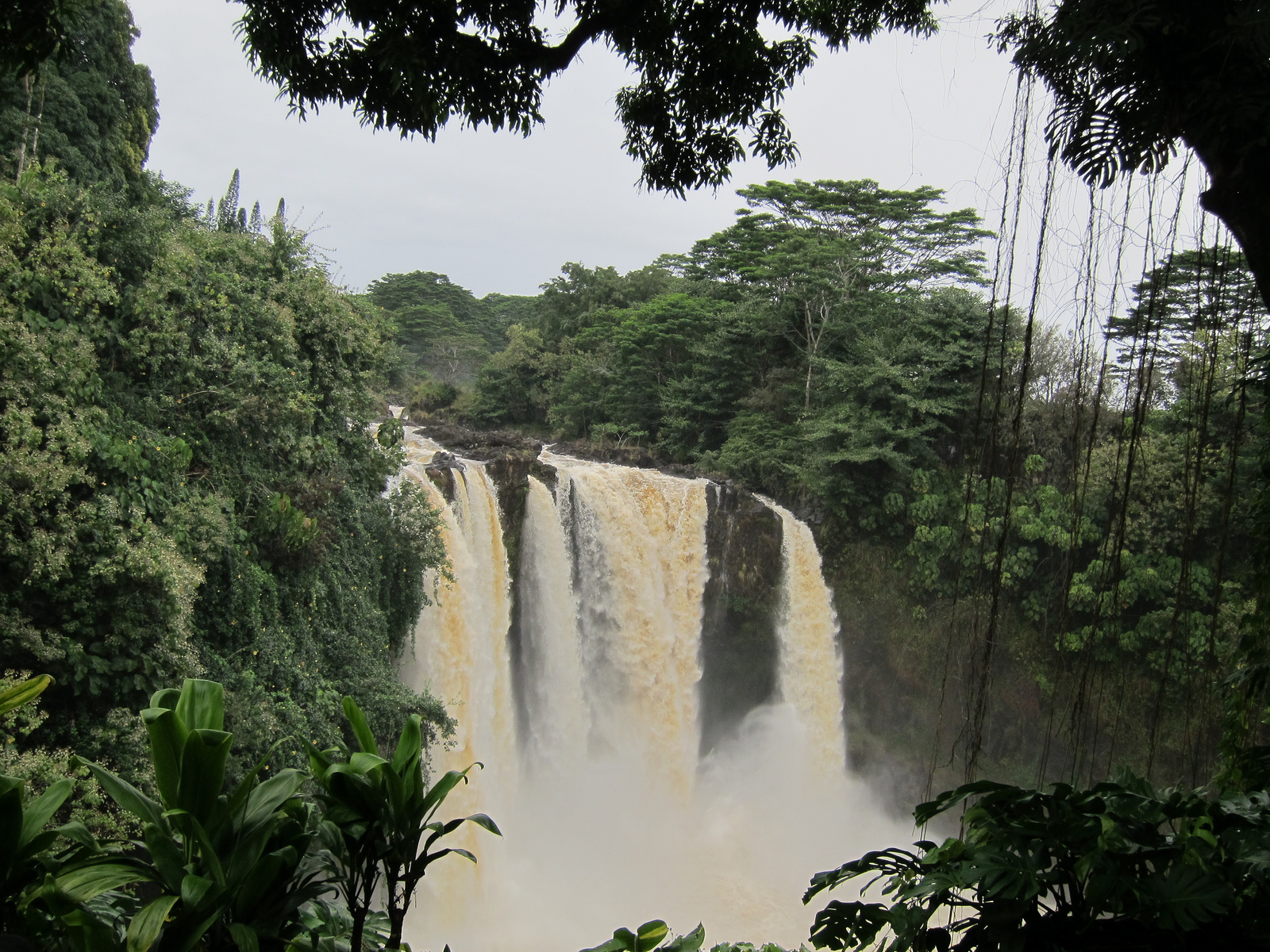 Rainbow Falls in the rain